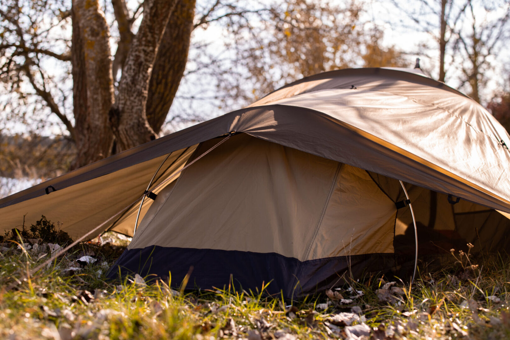 CORE-Tent® LODGER / olive - sklep bushcraftowy BUSHMEN